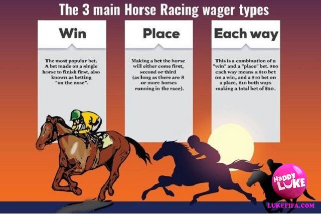 Có 3 loại đặt cược chính trong game cá độ đua ngựa